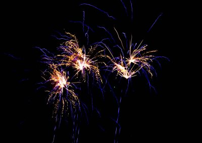 2007-11-03 Fireworks in Aston Clinton (34)